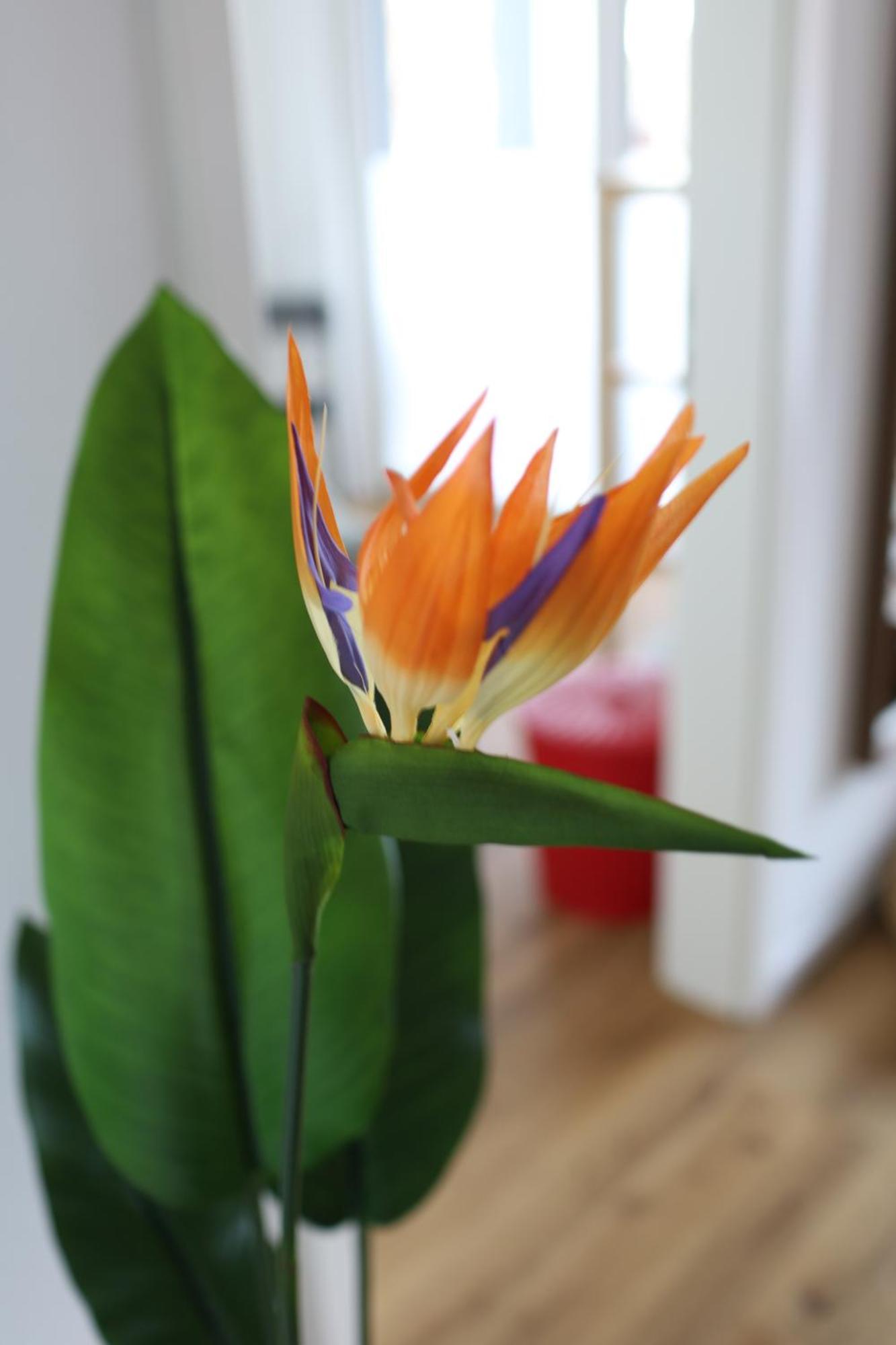 Apartment "London" In Erftstadt - 3 Zimmer & 63Qm - Nahe Koeln, Messe, Phantasialand & Bonn - Familienurlaub Oder Business Trip Екстер'єр фото